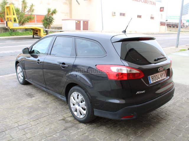 Focus 1.6 TDCi 115cv Trend Sportbre